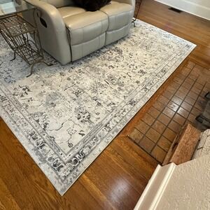 Brio Modern Vintage Distressed Gray Cream Talia Area Rug 7x10 G18715